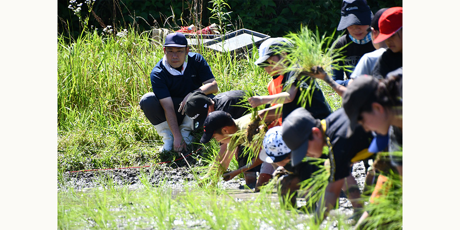 『学習田』 地元の小学校で田植え